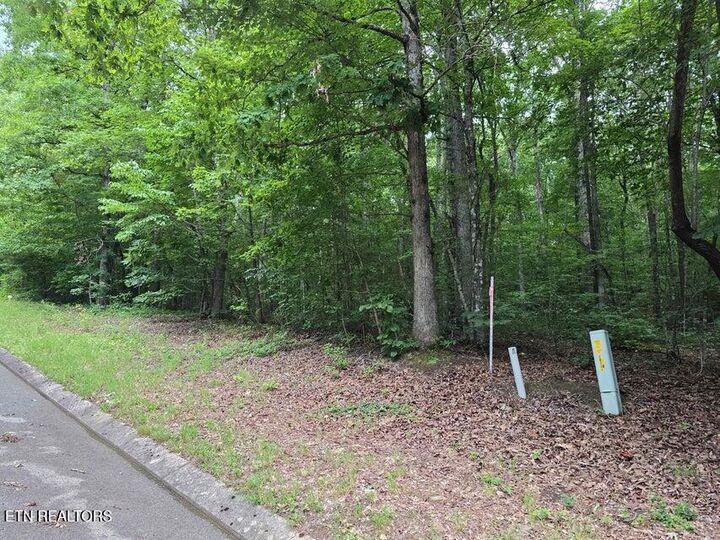 Property Photo:  Lot 138 Lower Brow Rd  TN 37327 