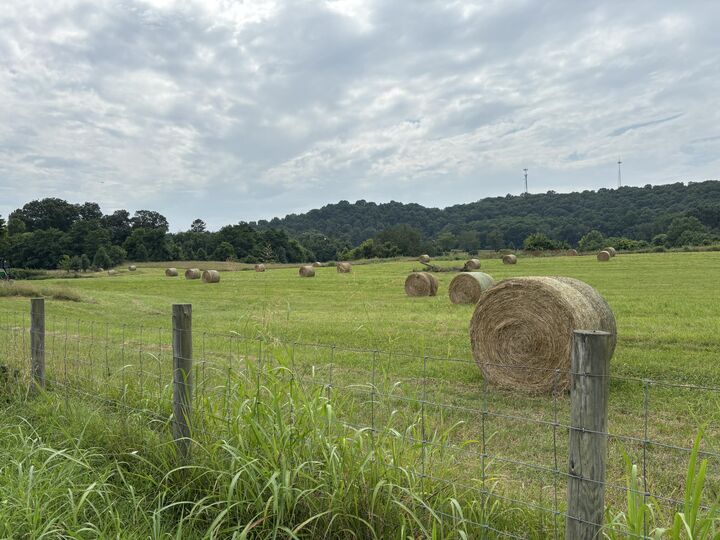 Property Photo: 856 Kentucky Avenue KY 40601