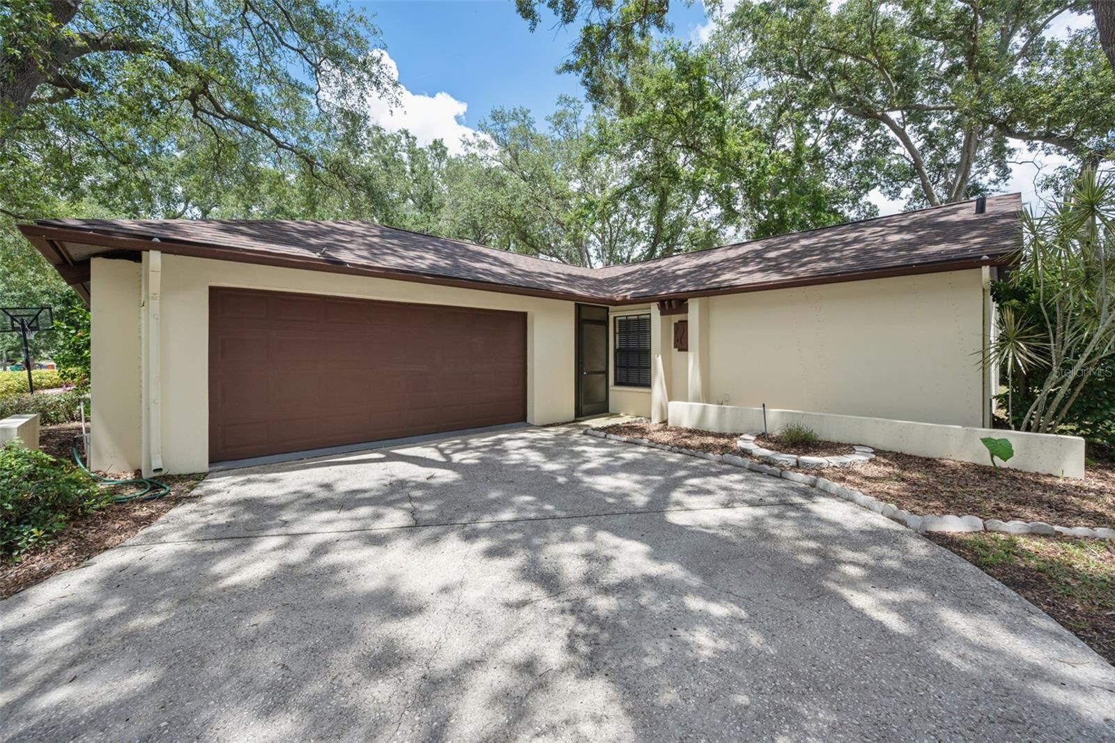 Property Photo:  260 Arbor Glen Drive  FL 34683 