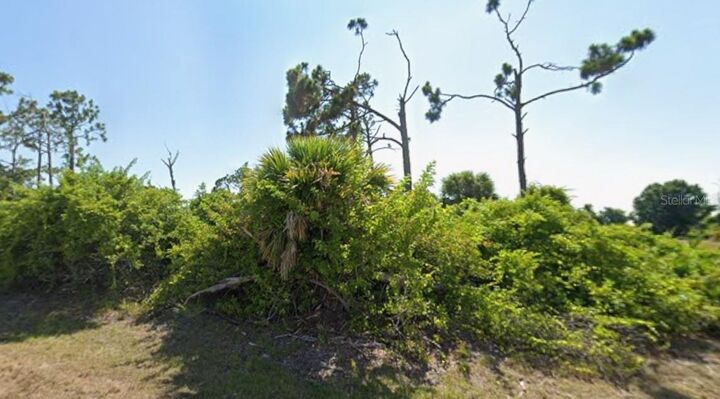 Property Photo:  145 Green Pine Park  FL 33947 