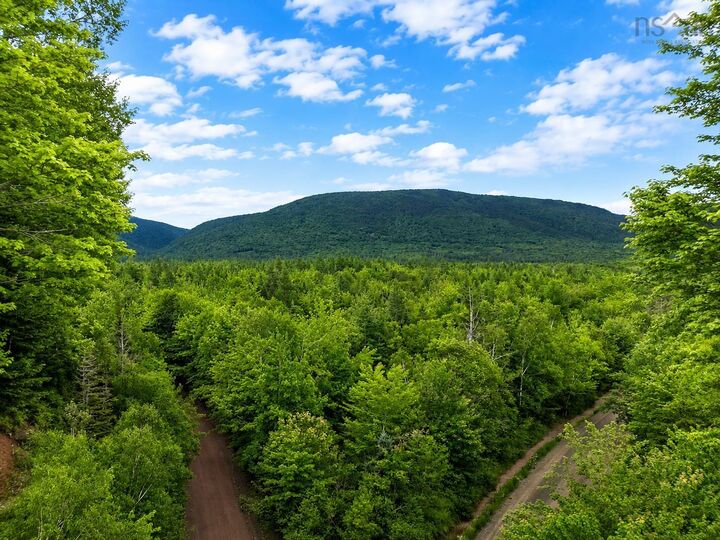 0 Mt.pleasant Big Brook Rd. — photo 1