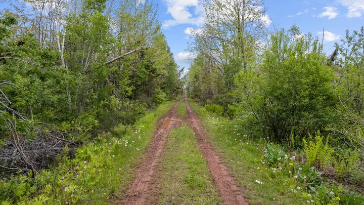 0 Adams Road — photo 1