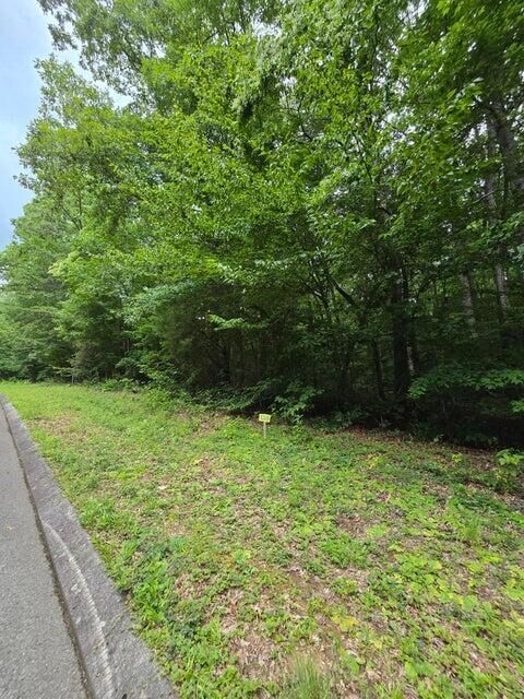 Property Photo:  Lot 138 Lower Brow Road  TN 37327 