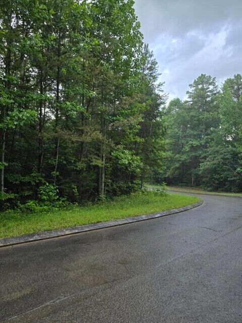 Property Photo:  Lot 156 Lower Brow Road  TN 37327 