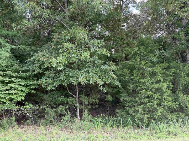 Property Photo: Tract 6 Cr 58 AR 72653