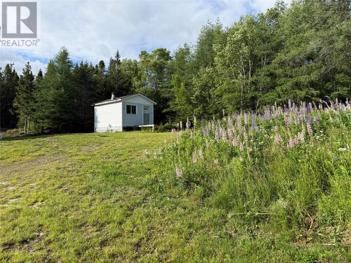 Property Photo:  0 Route 420  NL A0K 2Y0 