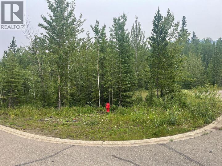 Property Photo:  8 Wapiti Place  BC V0C 2W0 