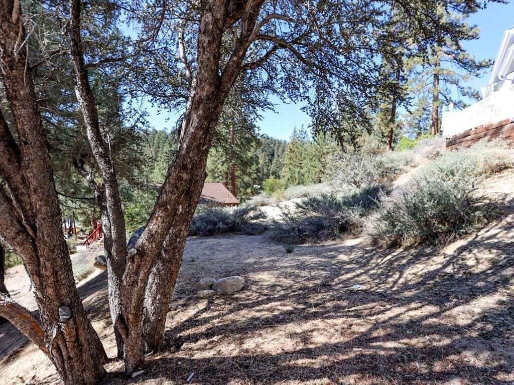 Property Photo:  0 Cedar Dell Road  CA 92333 