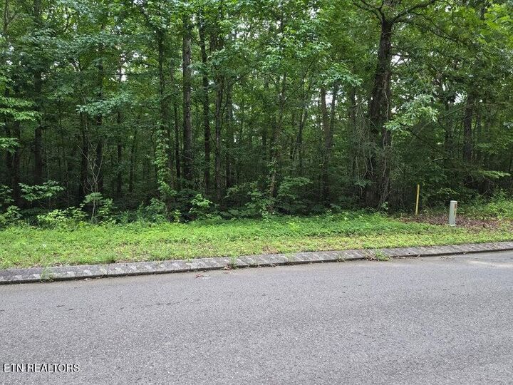 Property Photo:  Lot 144 Lower Brow Rd  TN 37327 