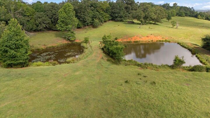 Property Photo:  Tbd W Cr 4245  TX 75760 