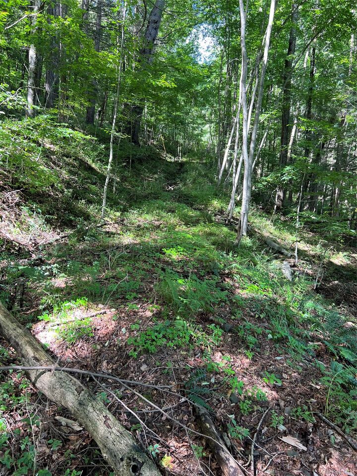 Property Photo:  00 Gibson Road  NY 13783 