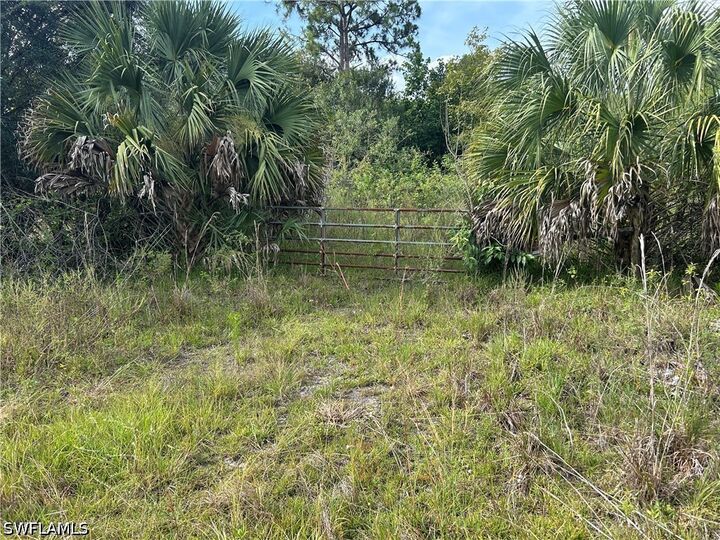 Property Photo: 1020 Limpkin Road FL 34120