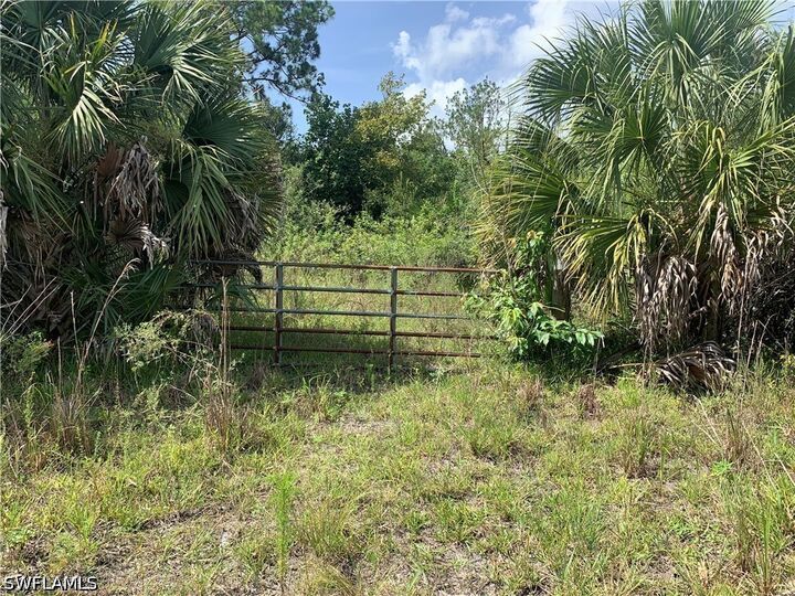 Property Photo:  1020 Limpkin Road  FL 34120 