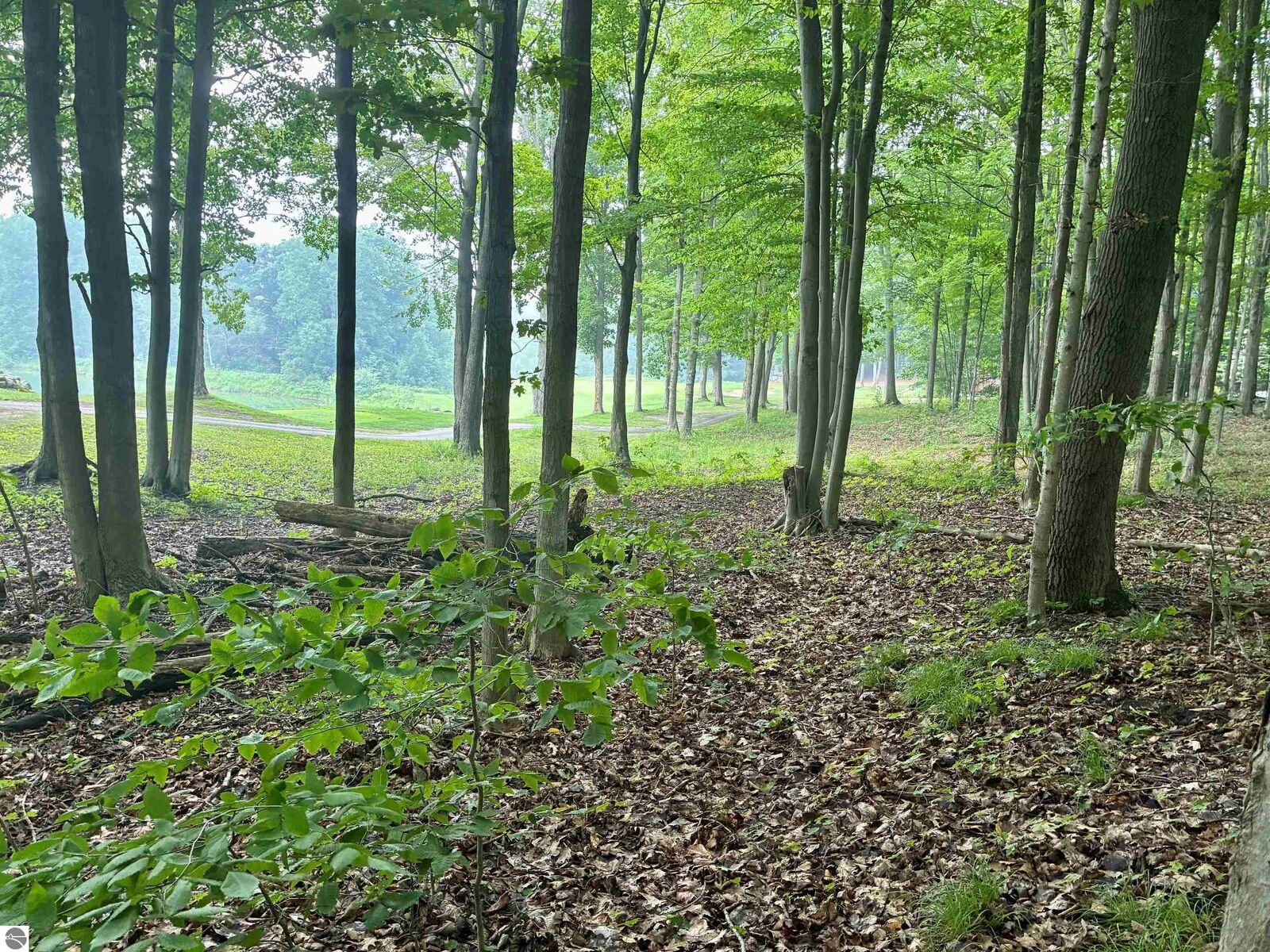 Property Photo: V/L 8 Forest Trail MI 49615
