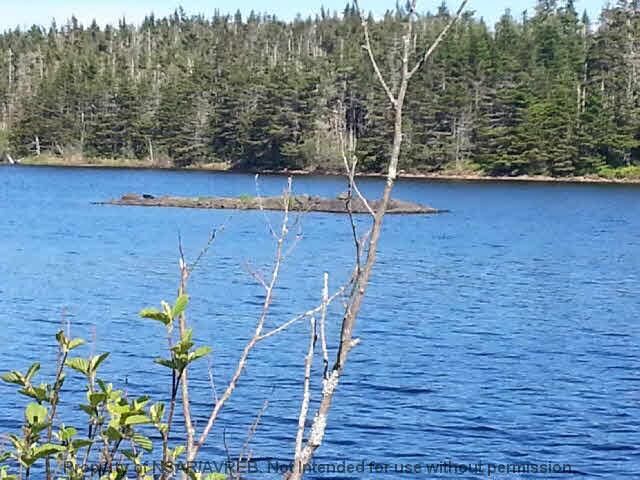 Property Photo:  Lot 13 East Side Grand River Road  NS B0E 1M0 