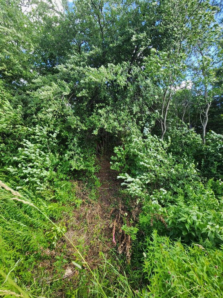 Property Photo:  Lot Highway 236  NS B0N 1P0 