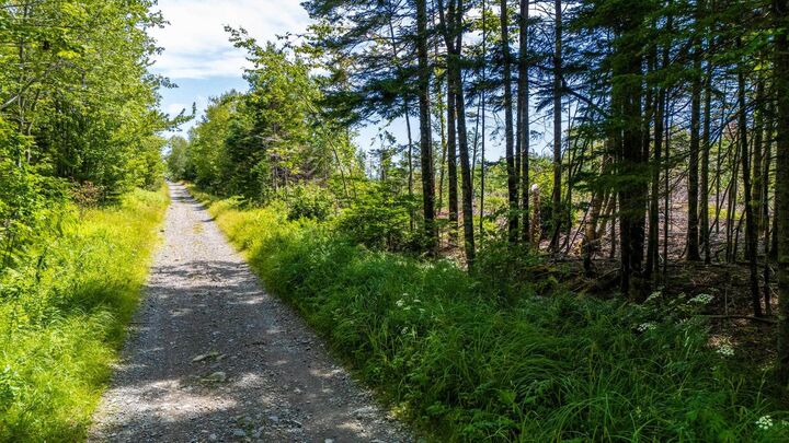 Property Photo:  Lot Bonnenfant Road  NS B0W 1M0 