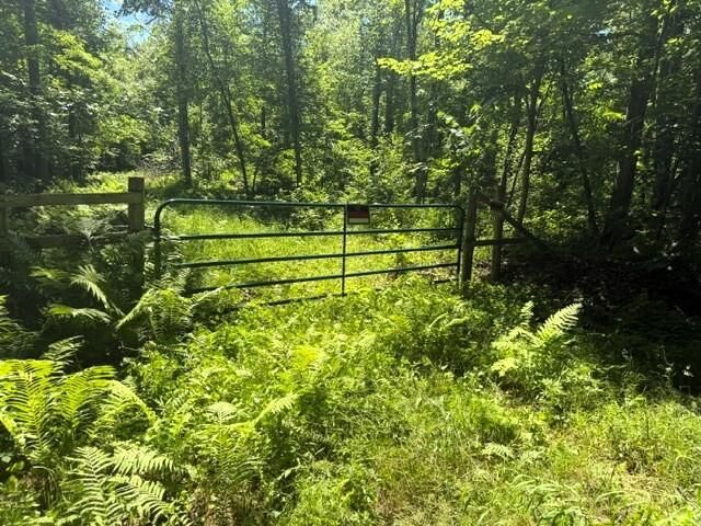 Property Photo: Tbd River Lane MN 56448