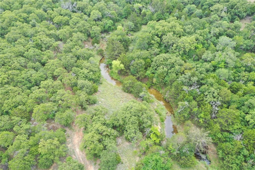 Property Photo:  1309 County Road 1895  TX 76270 