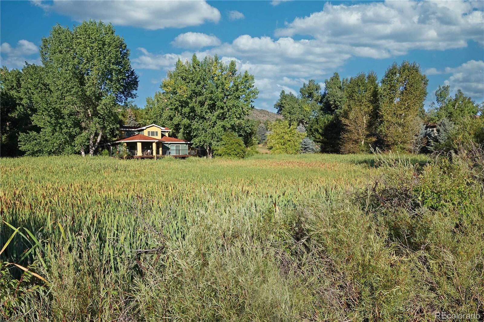 Property Photo: 6115 Meadowbrook Drive CO 80465