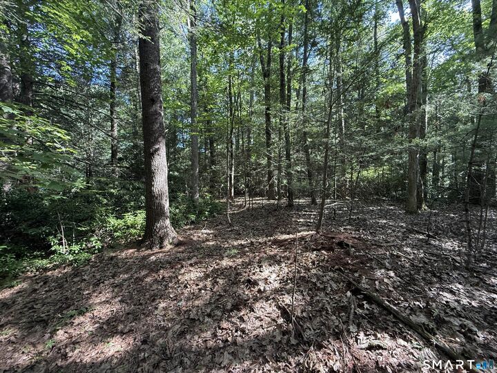 Property Photo:  Tayler Trail  CT 06281 