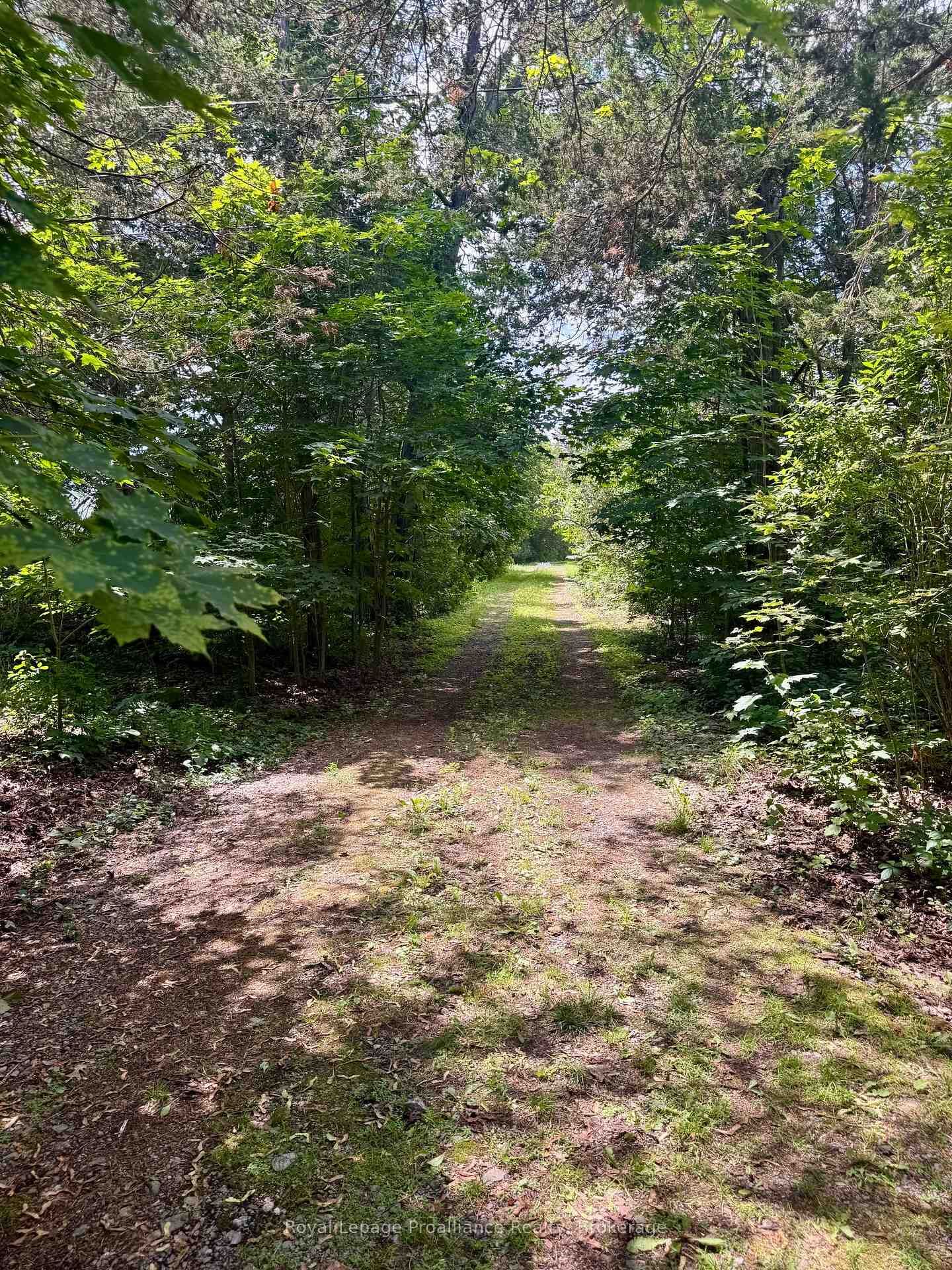 Property Photo: 680 County Road 49 N/A ON K0K 2T0