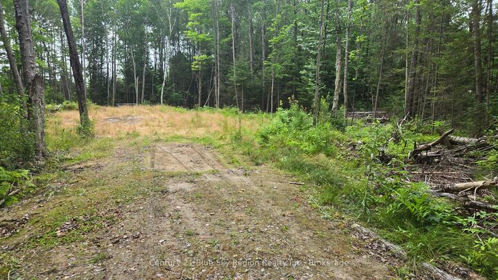 Property Photo:  2438 Village Road  ON P0H 1Z0 