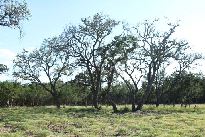 Property Photo:  Lots 56-57 Travis Oaks Drive  TX 78654 