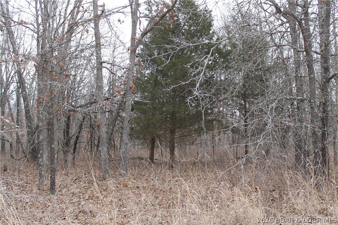 Property Photo: Ritchie Lane 2173 MO 65326