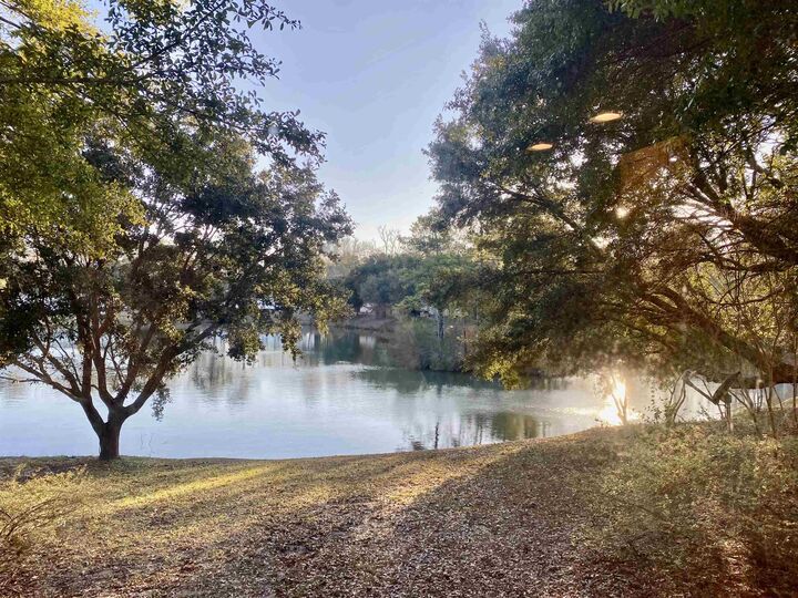 Property Photo:  195 Hawks Nest Circle  SC 29576 