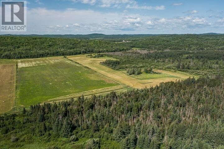 Property Photo:  875 Lake George Rd E, Laird Township  ON P0S 1C0 