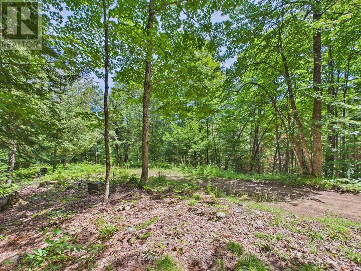 Property Photo: 1230 Old Donald Road ON K0M 1S0