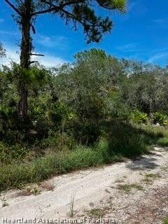Property Photo: 3041 Cacao Road FL 33852