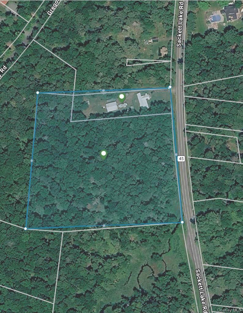 Property Photo:  628 Sackett Lake Road  NY 12701 