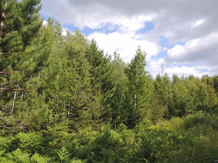 Property Photo:  X1 Cougar Tr  MN 55604 