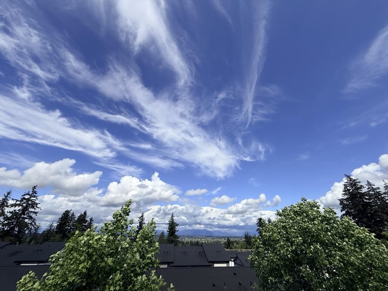 Property Photo:  15833 26 Avenue 83  BC V3Z 2X5 