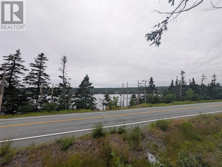 Property Photo:  0 Salmonier Line  NL A0A 3P0 