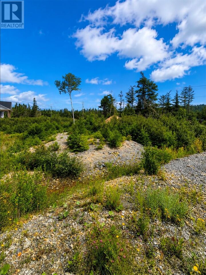 Property Photo:  168 Hodgewater Line  NL A0A 3W0 
