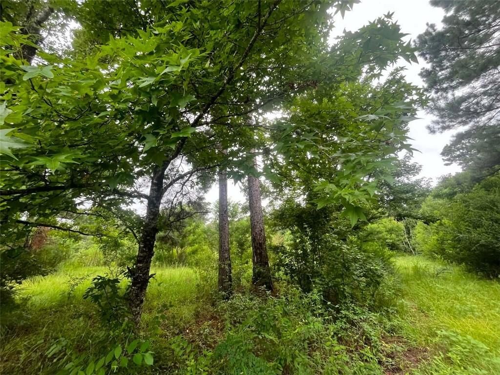 Property Photo:  589 Tyler Cemetery Road  LA 71323 