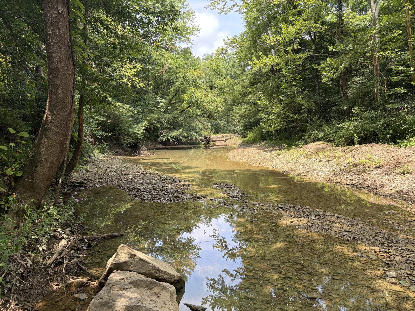 Property Photo:  399 Whitaker Cemetery Rd Road  KY 42503 