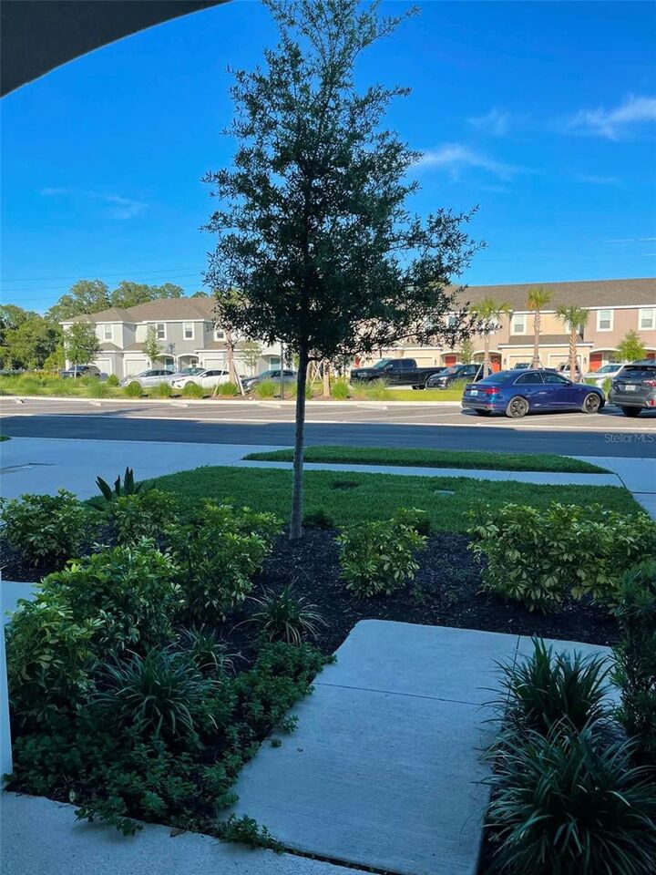 Property Photo:  2516 Paravane Way  FL 33543 