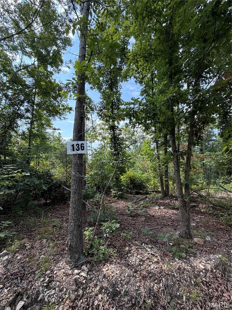 Property Photo: #136 Madison 410 MO 63645