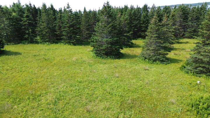 Property Photo:  247 Highway  NS B0E 3B0 