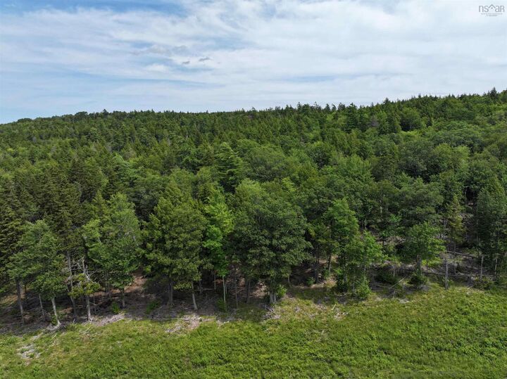 Property Photo:  Lot 1 Highway 101  NS B0N 2T0 