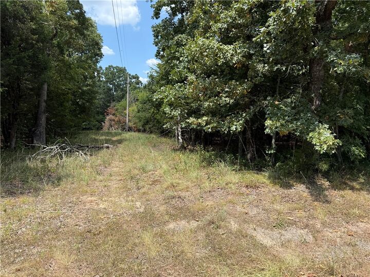 Property Photo: 00 Norris Lane AR 72802