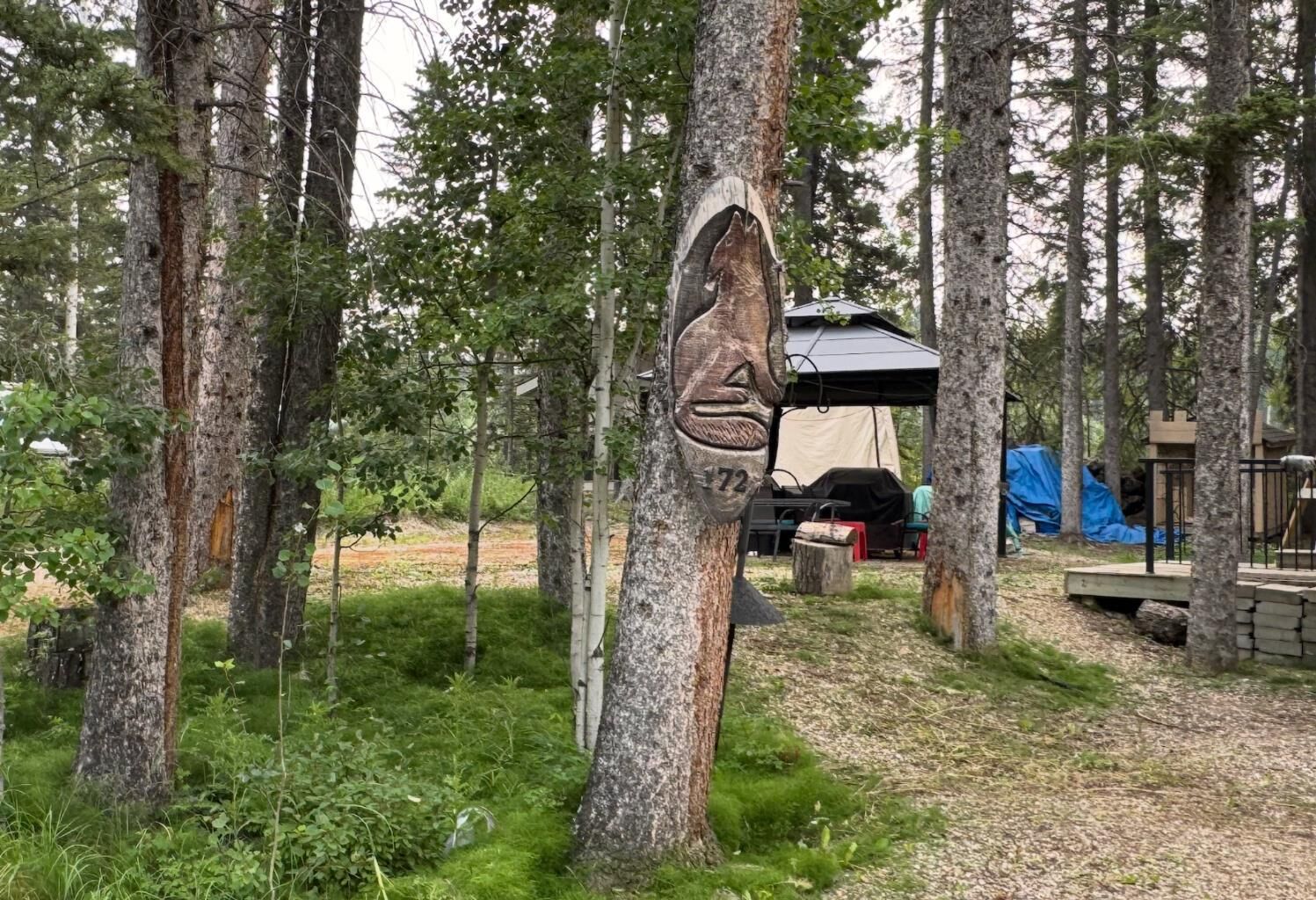 Photo de la propriété: 5227 Township Road 320 172 AB T0M 1X0