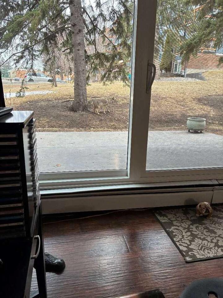 Property Photo: 816 89 Avenue SW 108 AB T2V 4N8