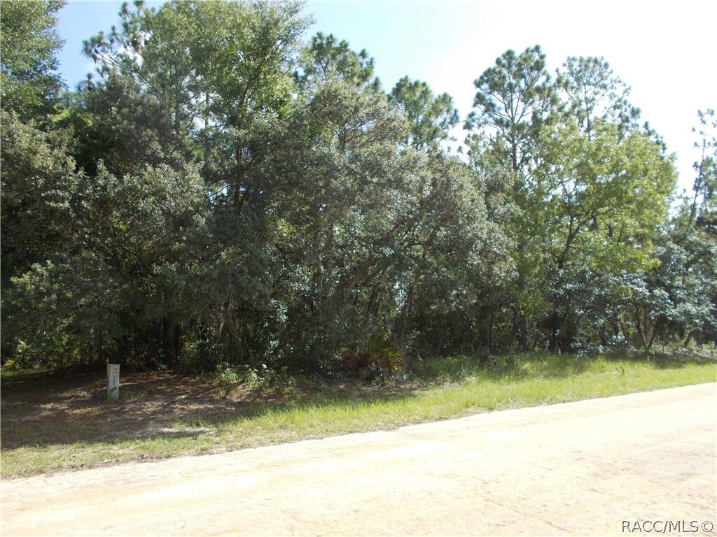 Property Photo: 4347 W Pansy Lane FL 34465