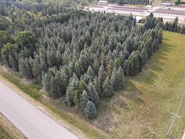 Property Photo:  Parcel B Danbury Road  MI 49649 