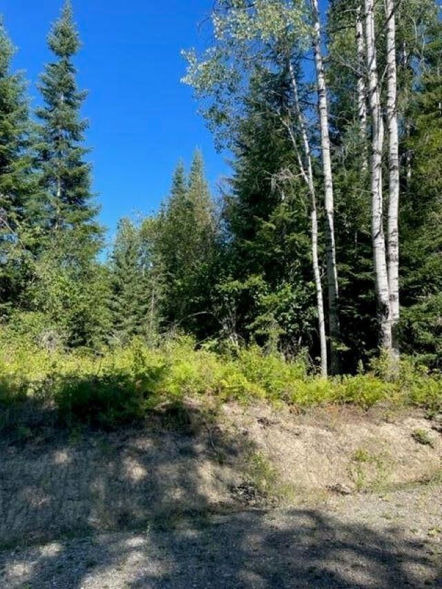 Property Photo:  3xx Lot 11 N Leclerc Rd  WA 99139 